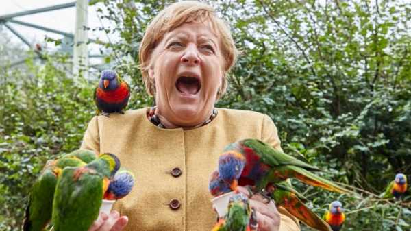 Германия перед выборами: такую Меркель немцы еще не видели